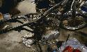 Coming apart   2014-01-10 01:28:24