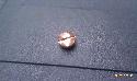 Rocker Copper Cap   2014-06-16 05:11:17